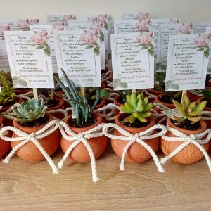 Suculenta Jarrón B6 + Moño