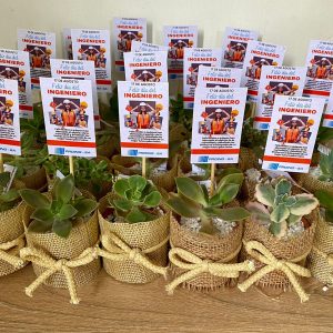 Suculentas B7 Vintage