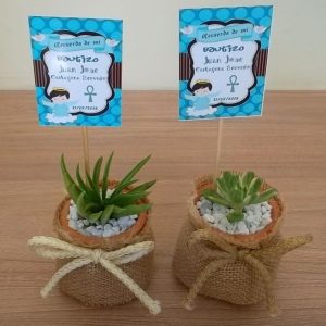 Suculenta Jarrón B6 Vintage + Piedra