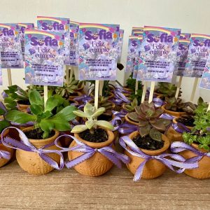 Suculentas en Jarrón b6 + cinta Variedad Color